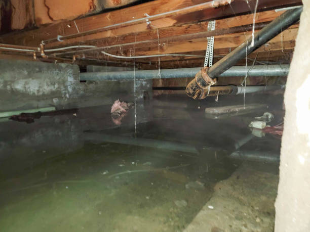 Best Commercial water damage restoration  in Payson, IL