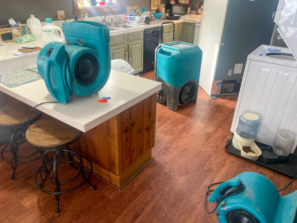 Best Fire Damage Restoration  in Payson, IL