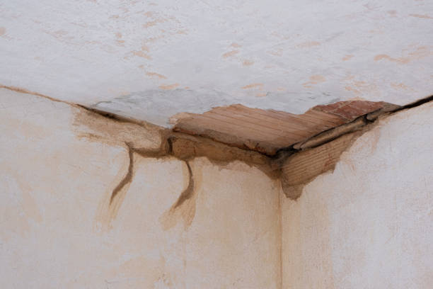Best Emergency water damage restoration  in Payson, IL