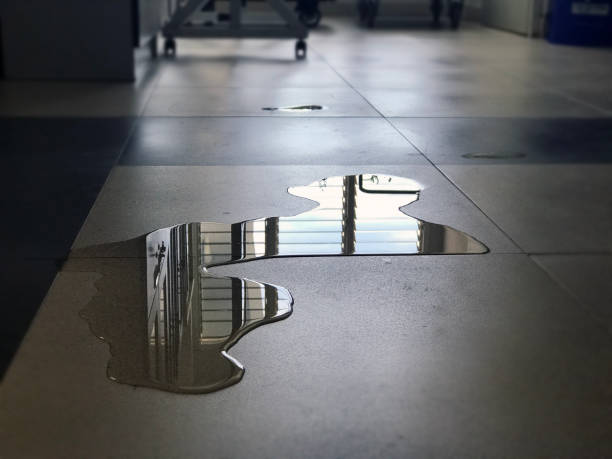 Best Water damage restoration near me  in Payson, IL