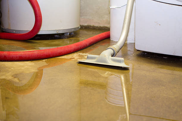 Best Local water damage restoration  in Payson, IL
