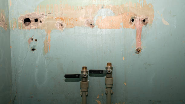 Best Water damage repair service  in Payson, IL