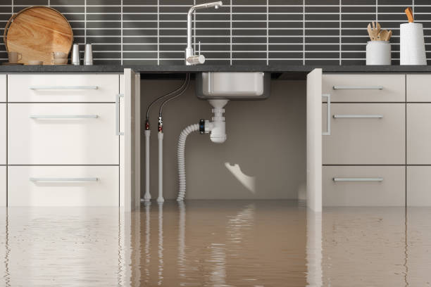 Best Residential water damage restoration  in Payson, IL