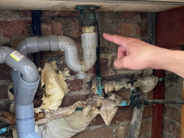 Best Water damage contractors near me  in Payson, IL